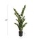 43&#x22; Zamifolia Bush in Black Pot with 220 Silk Leaves by Floral Home&#xAE;
